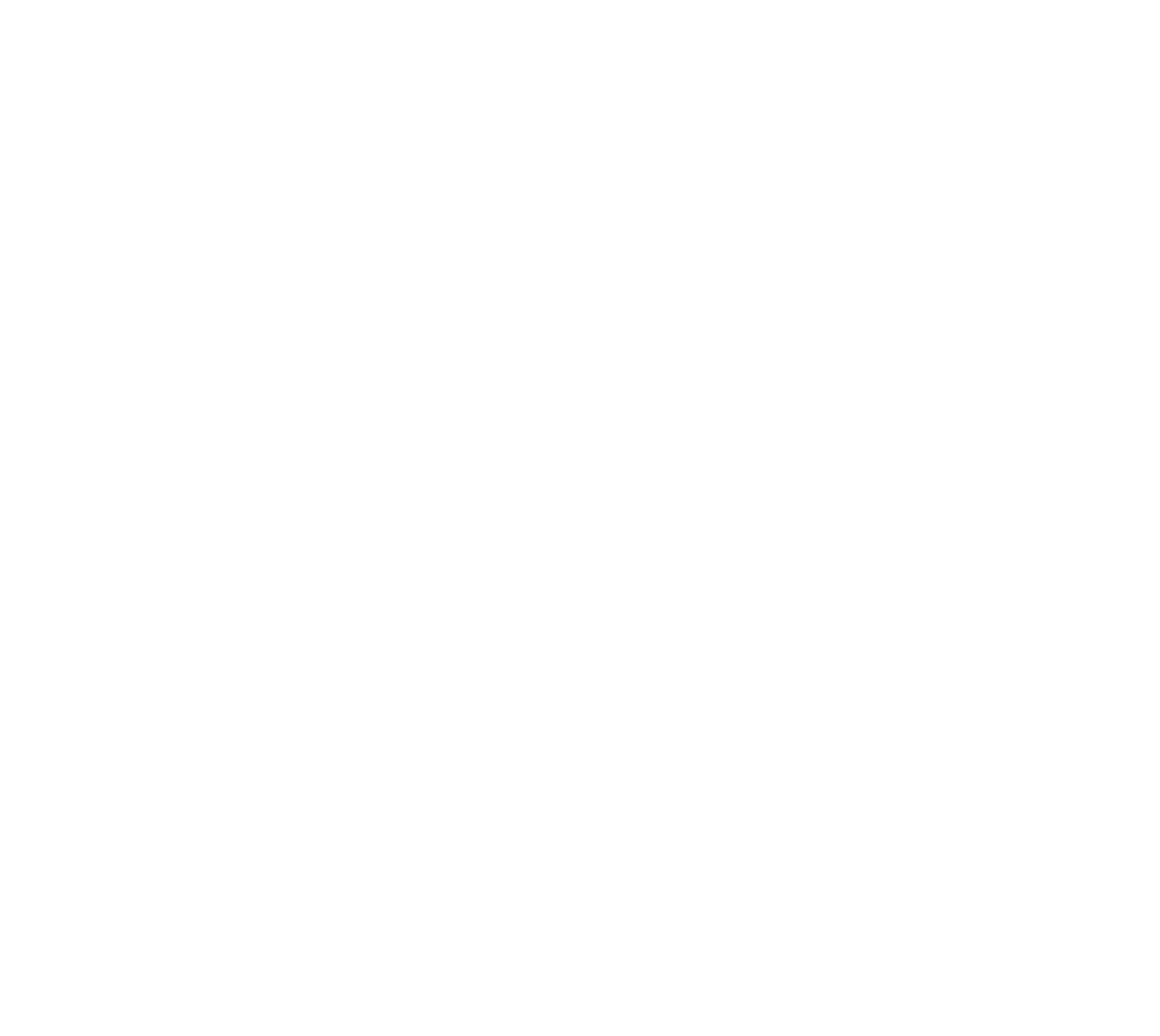 Fightmode Custom Store