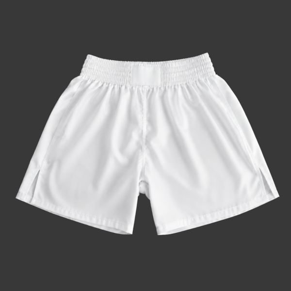 Pro Boxing Short